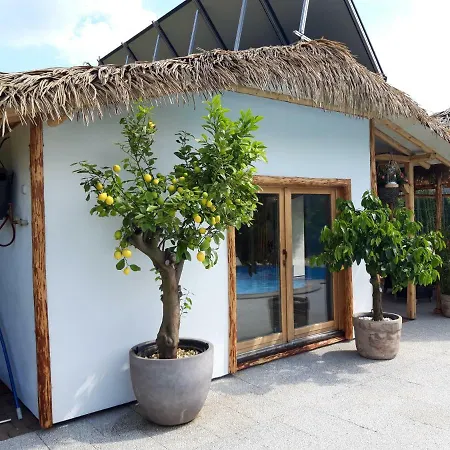 Pod Hradem Guest house *