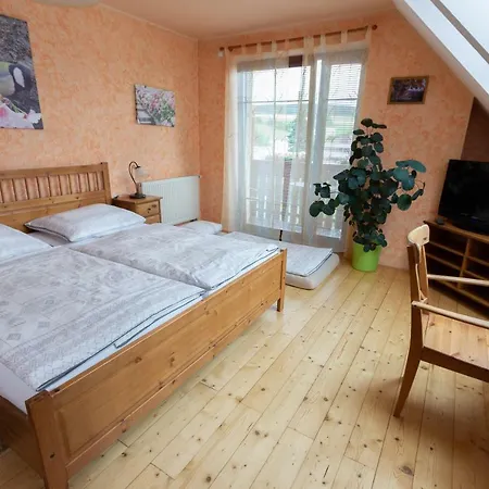 Guest house Pod Hradem *